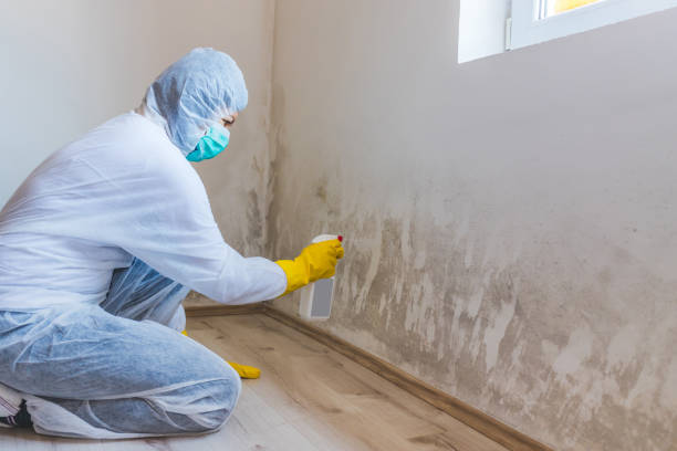 Bathroom Mold Removal assessment in Somerset bathroom