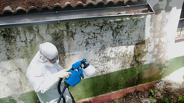 Mold Remediation service in Somerset, Somerset, TX